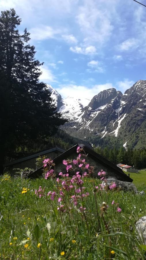 Solimmo Temù Exteriér fotografie